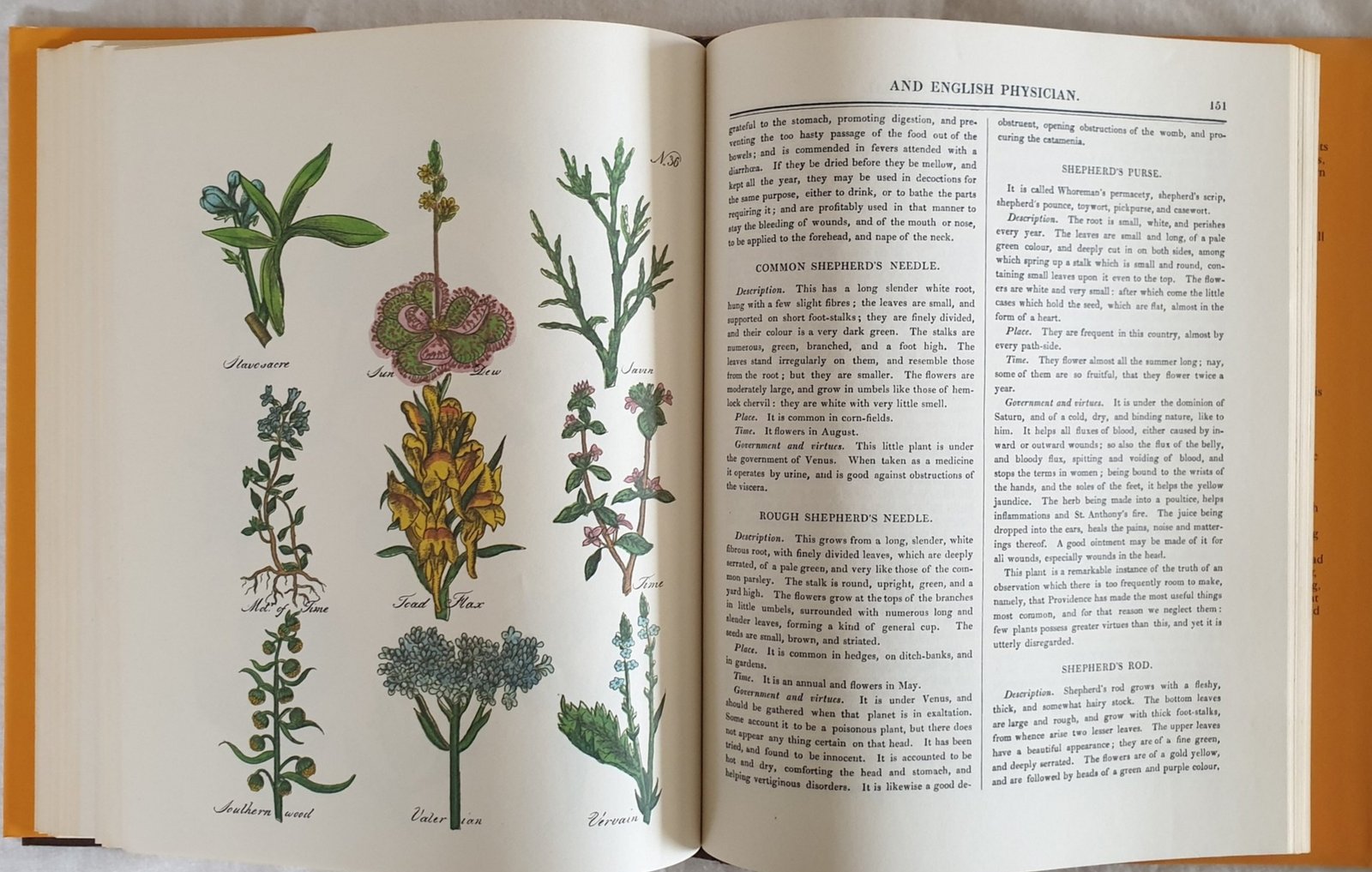 PRELOVED Culpeper's Complete Herbal & English Physician - Culpeper