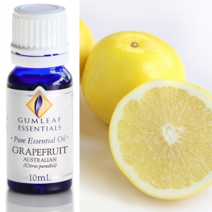 Grapefruit Essential Oil - Citrus paradisi - Gumleaf Essentials