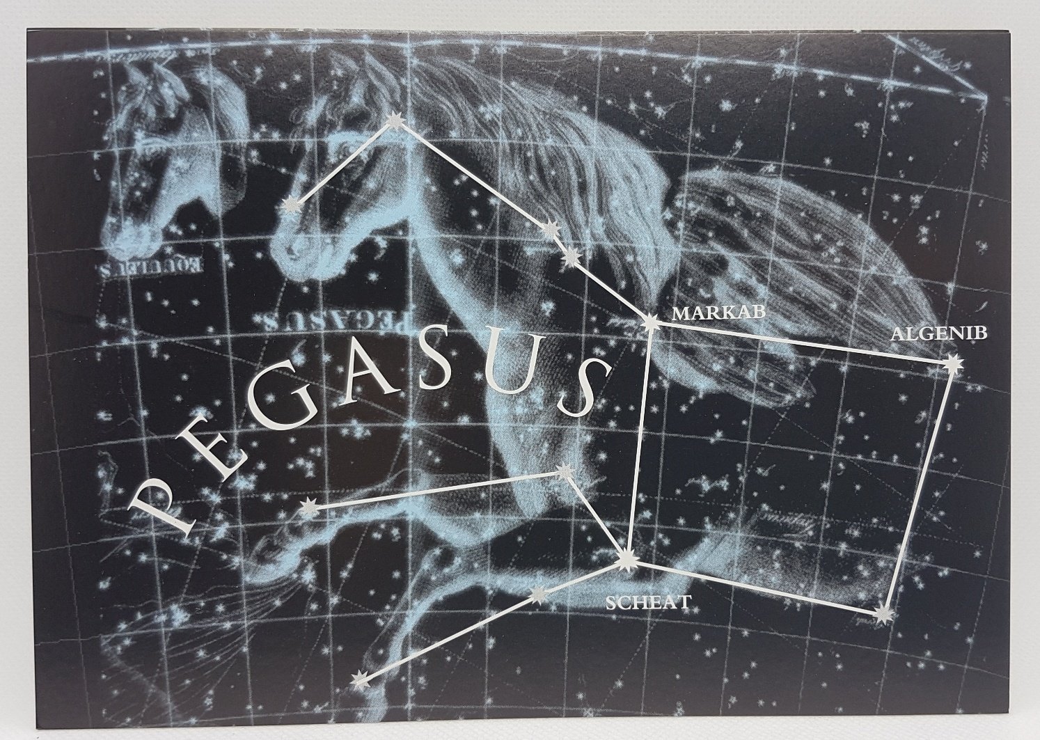 PRELOVED Lost Zodiac, The - 22 Ancient Star Signs - Catherine Tennant