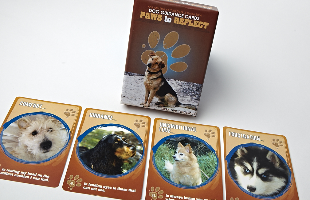 Paws to Reflect, Dog Guidance Cards - Geraldine Teggelove