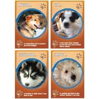 Paws to Reflect, Dog Guidance Cards - Geraldine Teggelove